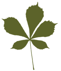 WCPM Leaf icon